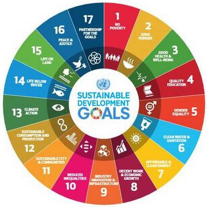 sdg.jpg