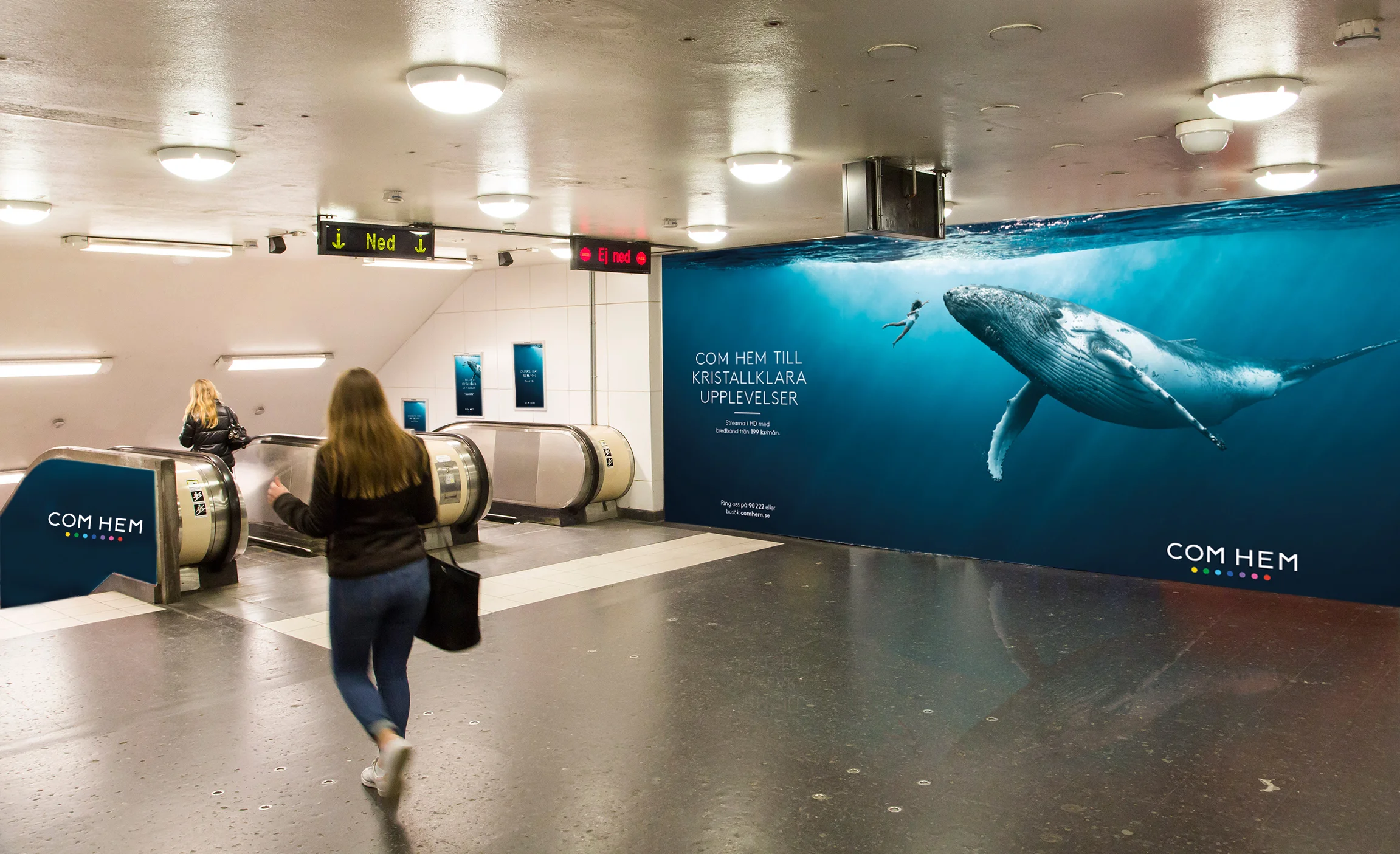 Bildmontage u2014 Prepmedia