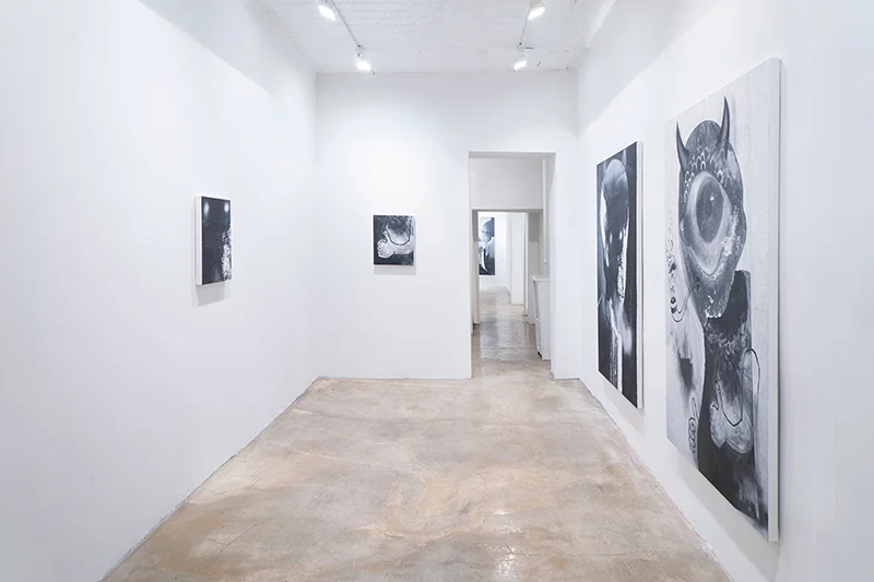 Installation view: Eric Helvie Leviathan