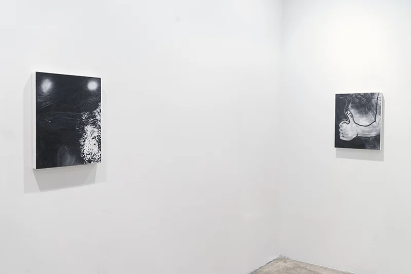 Installation view: Eric Helvie Leviathan