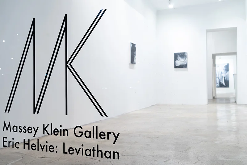 Installation view: Eric Helvie Leviathan