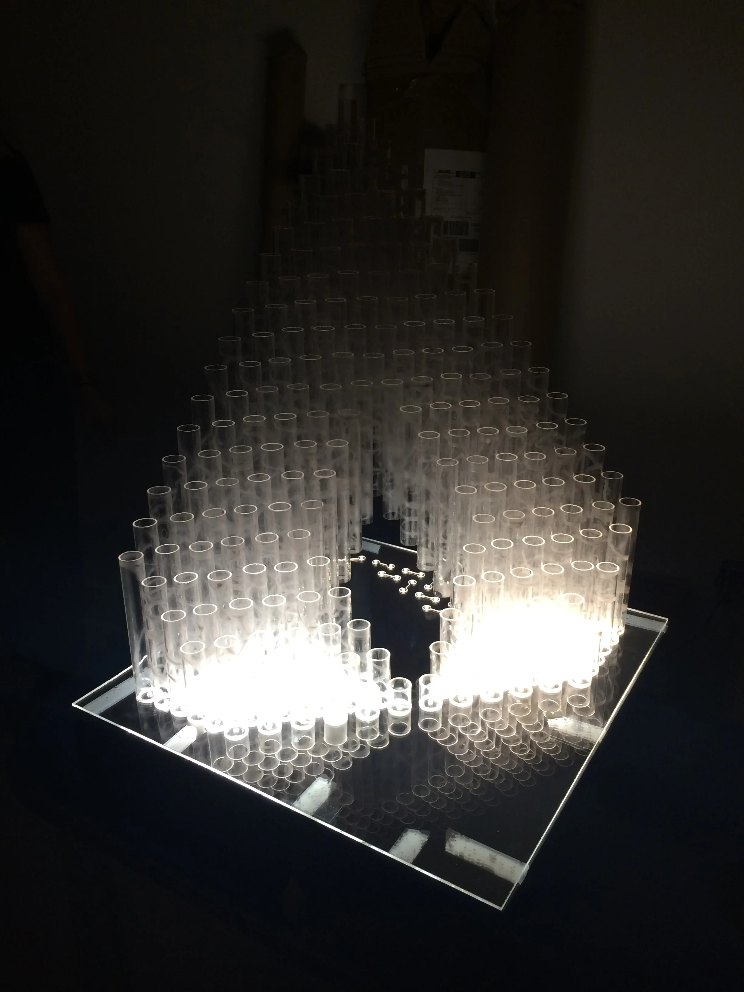 Festival of the Trees 2015