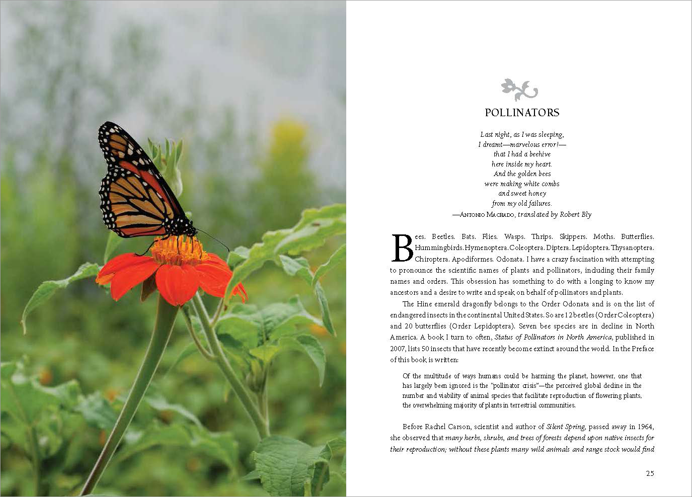 HowtoMove_text_spread_Page_04.jpg