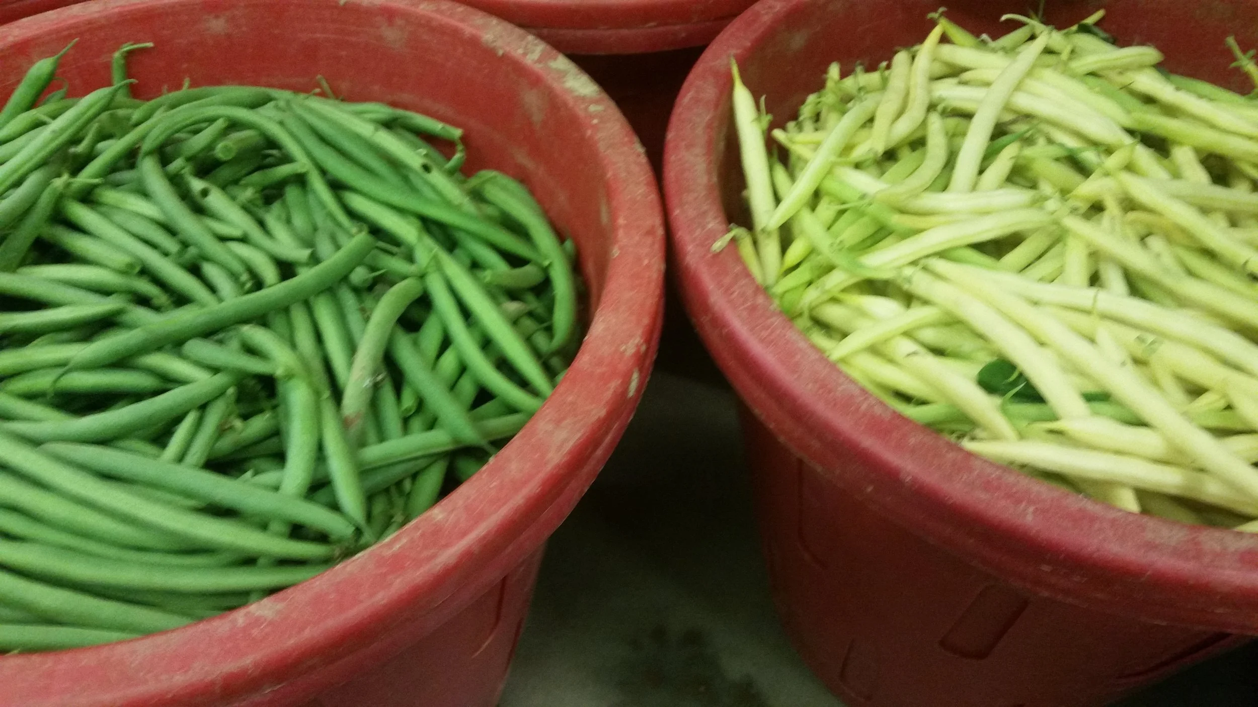 beans_both.jpg