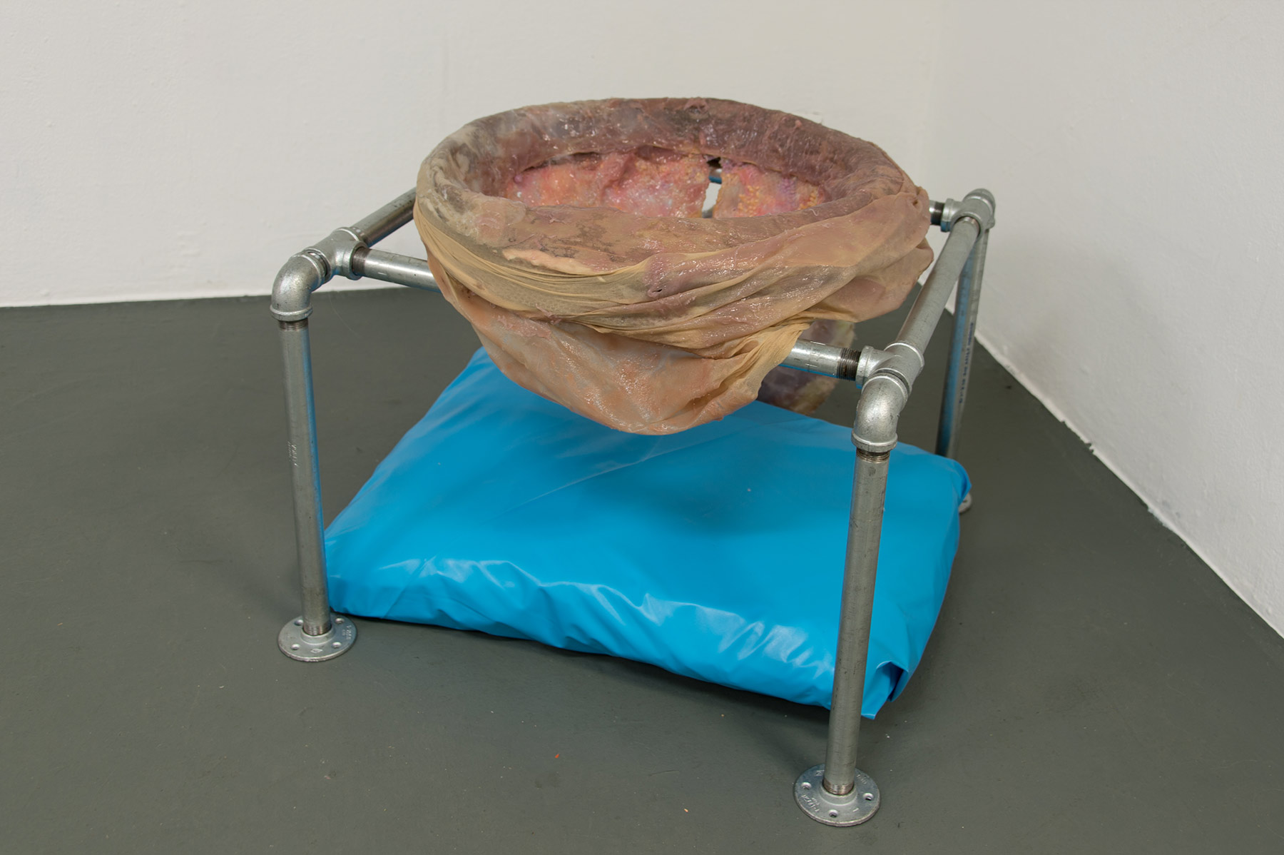  Install view, with pillow 
