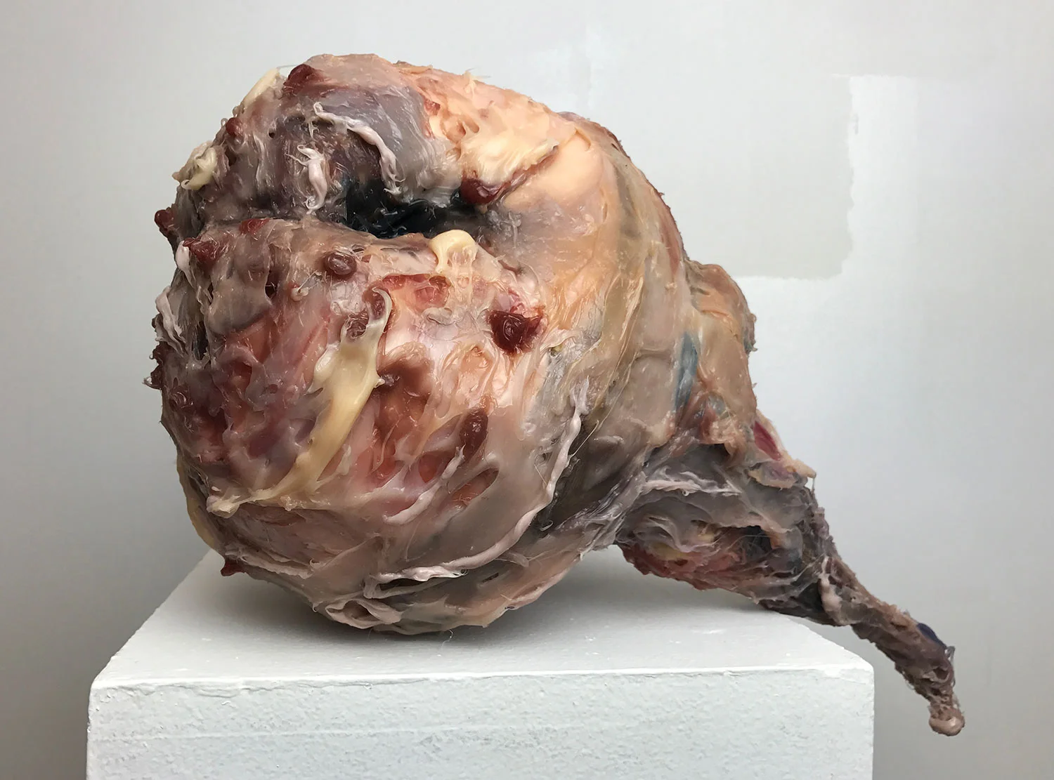   Slopstack (top piece),&nbsp; head view 