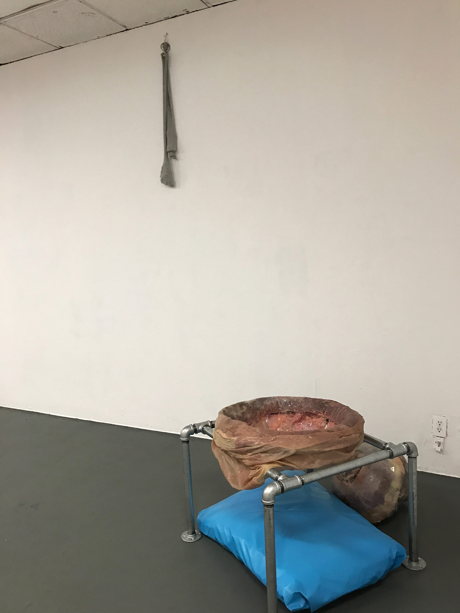   Gutbucket , install view (shown with pillow,  Breeder  and  Slipsocks ) 