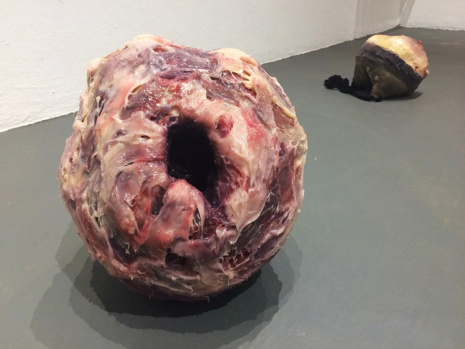  Install view, shown with  Gummer I  