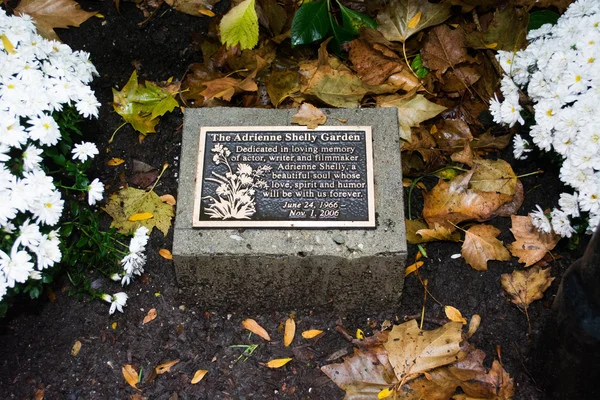GARDEN 2.jpg