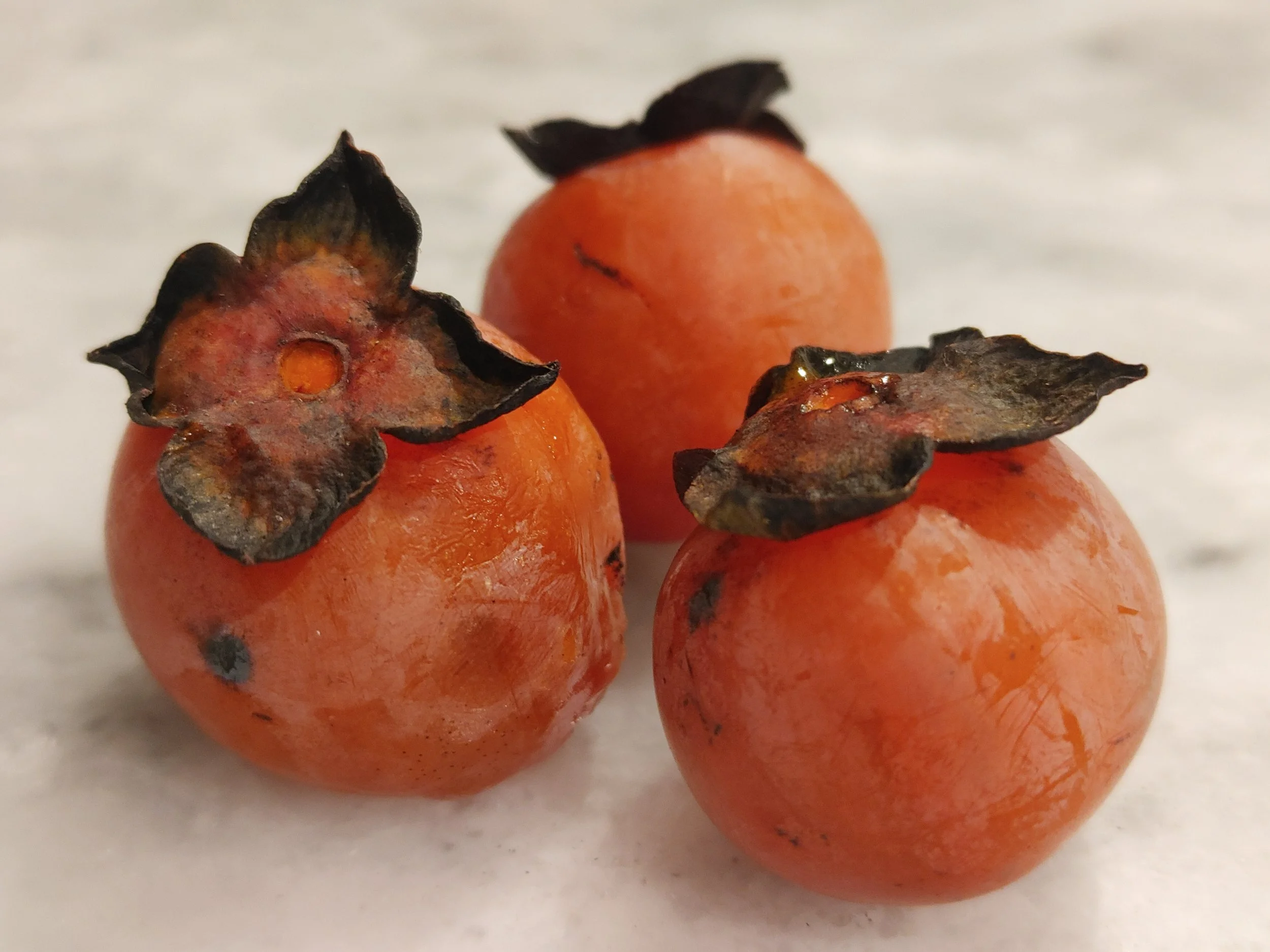 The Common Persimmon