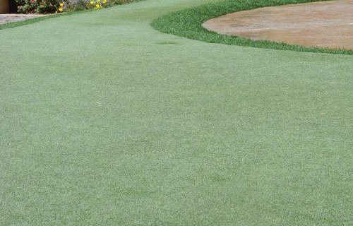 turf.jpg