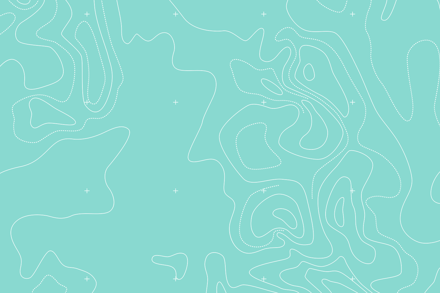 topo_whiteonteal.jpg