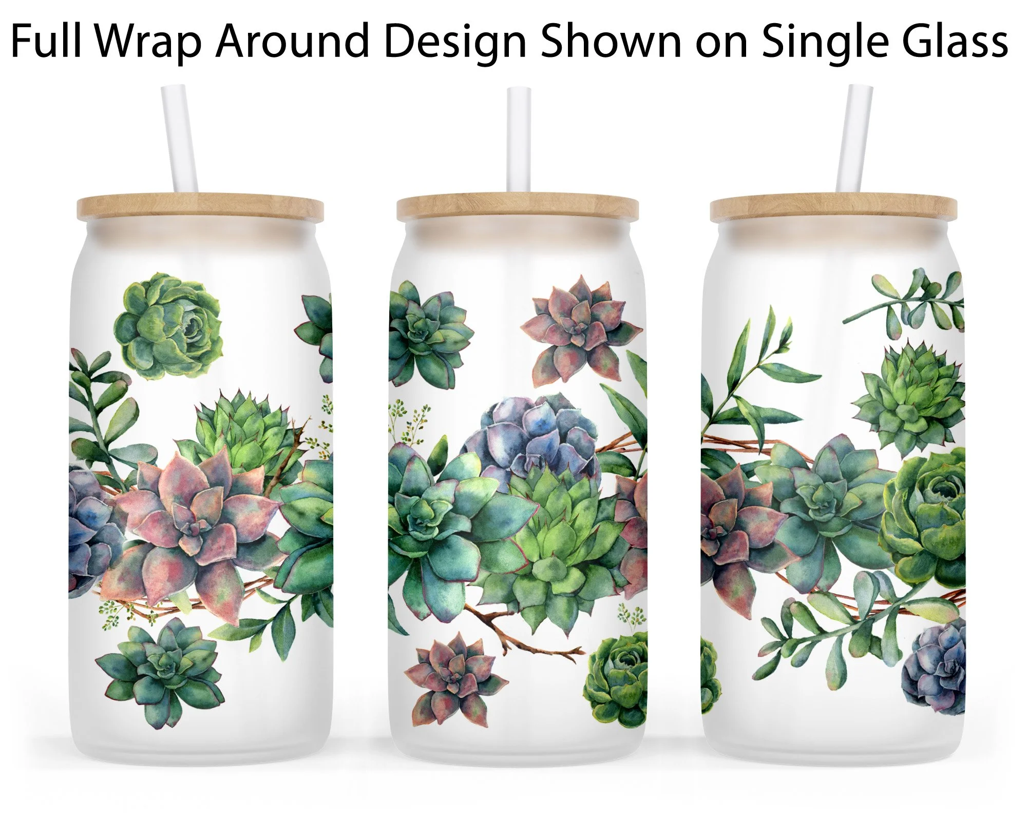 Succulents 18 oz Glass Tumbler with Bamboo Lid and Glass Straw  The  Traveled Lane