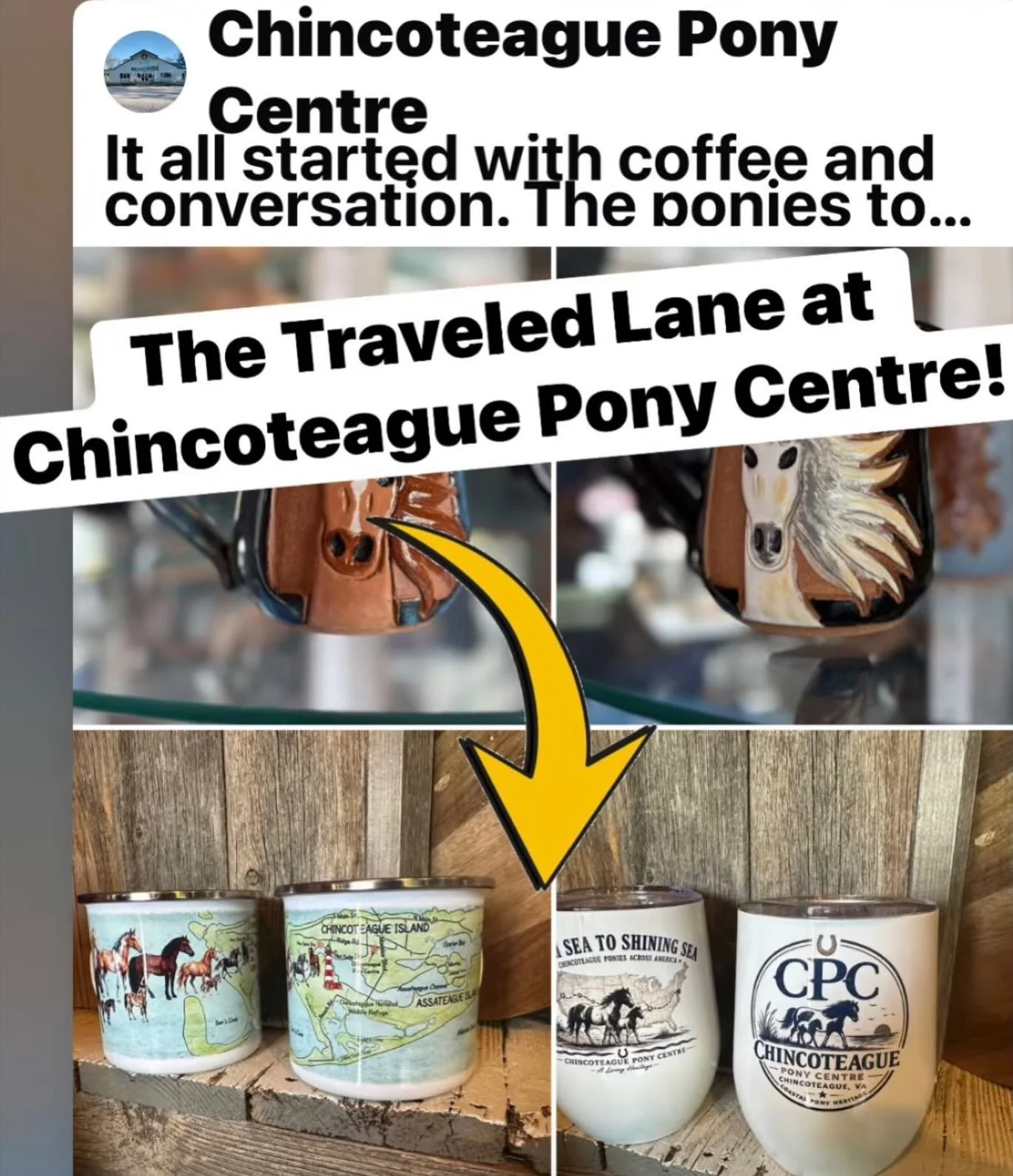My mother is a crazy horse lady. Years ago she visited the Chincoteague Pony Centre to see the pony swim. I love to partner with and support organizations that are near and dear to my heart.