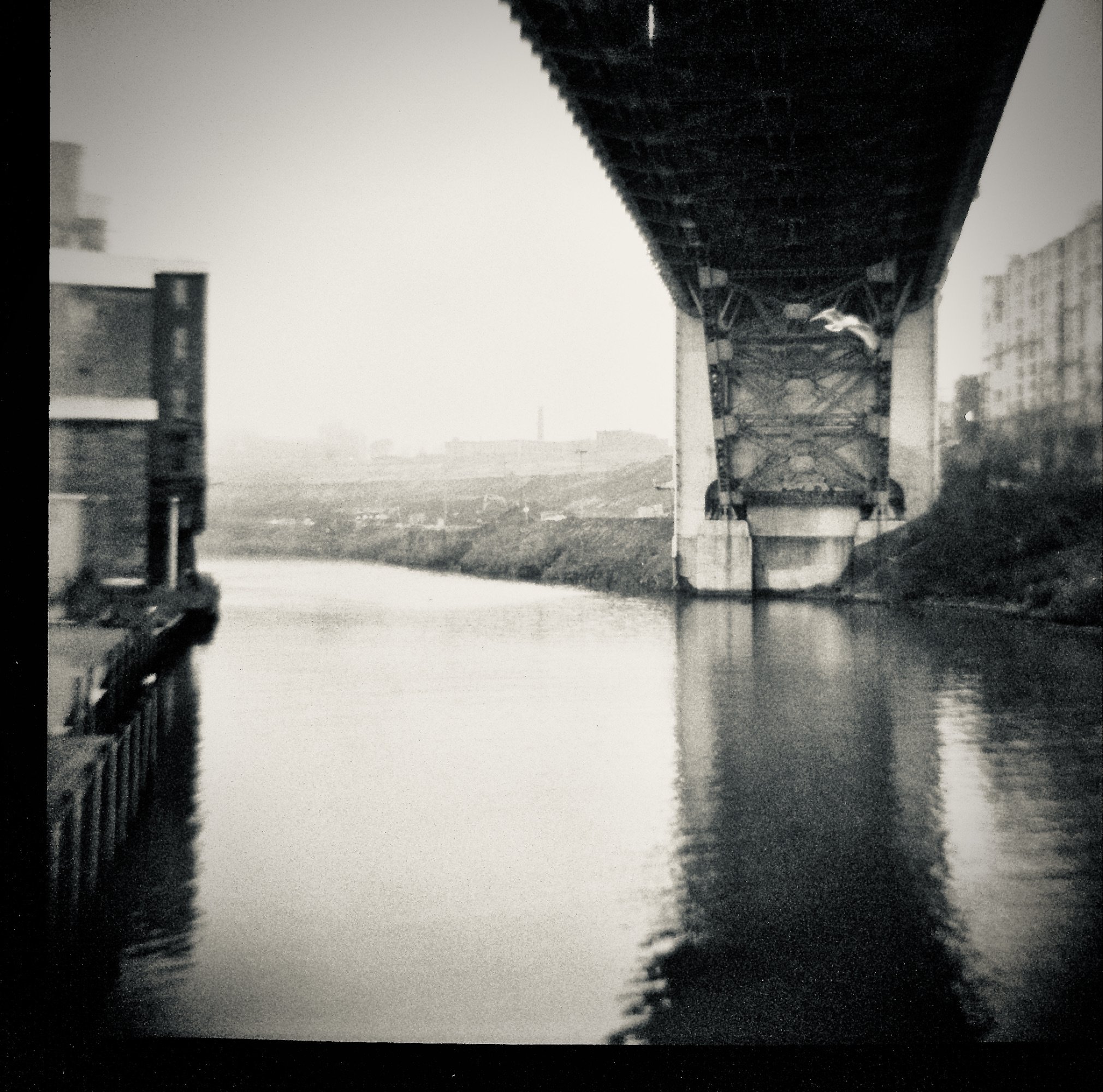 Street Sense and Sensibility