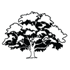 oak-tree.png