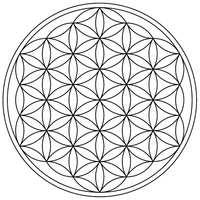 flower-of-life-19circles36arcs-enclosed.png