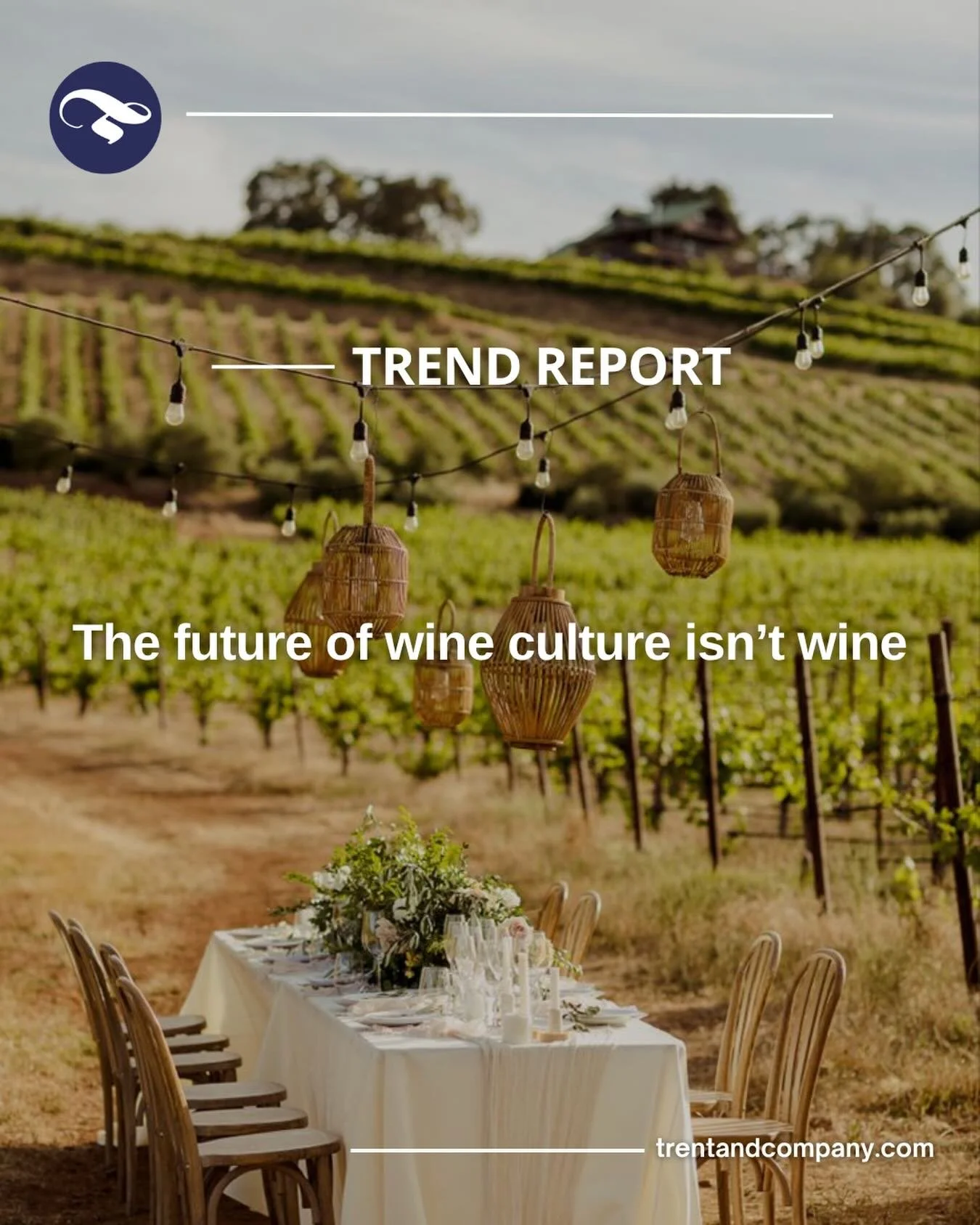 At this year&rsquo;s California Wine Festival in Dana Point, we noticed people are no longer just drinking wine. They&rsquo;re curating a lifestyle around it.

What stood out wasn&rsquo;t only what was in the glass, it was the feeling around it. Ocea