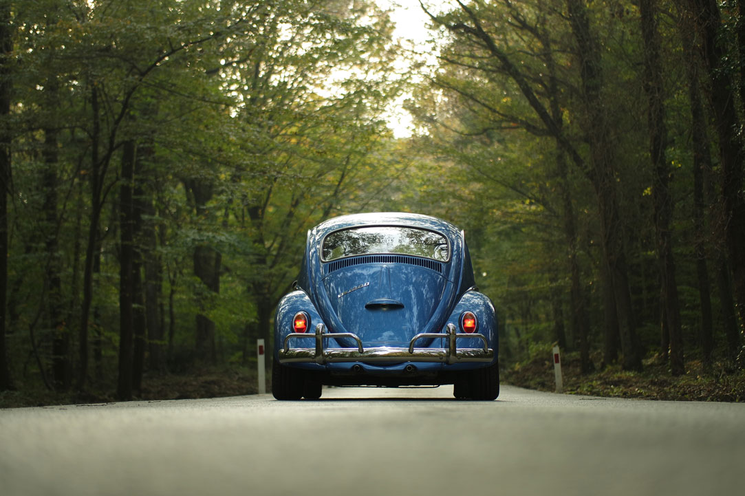 classic-car-driving-on-road-trees.jpg