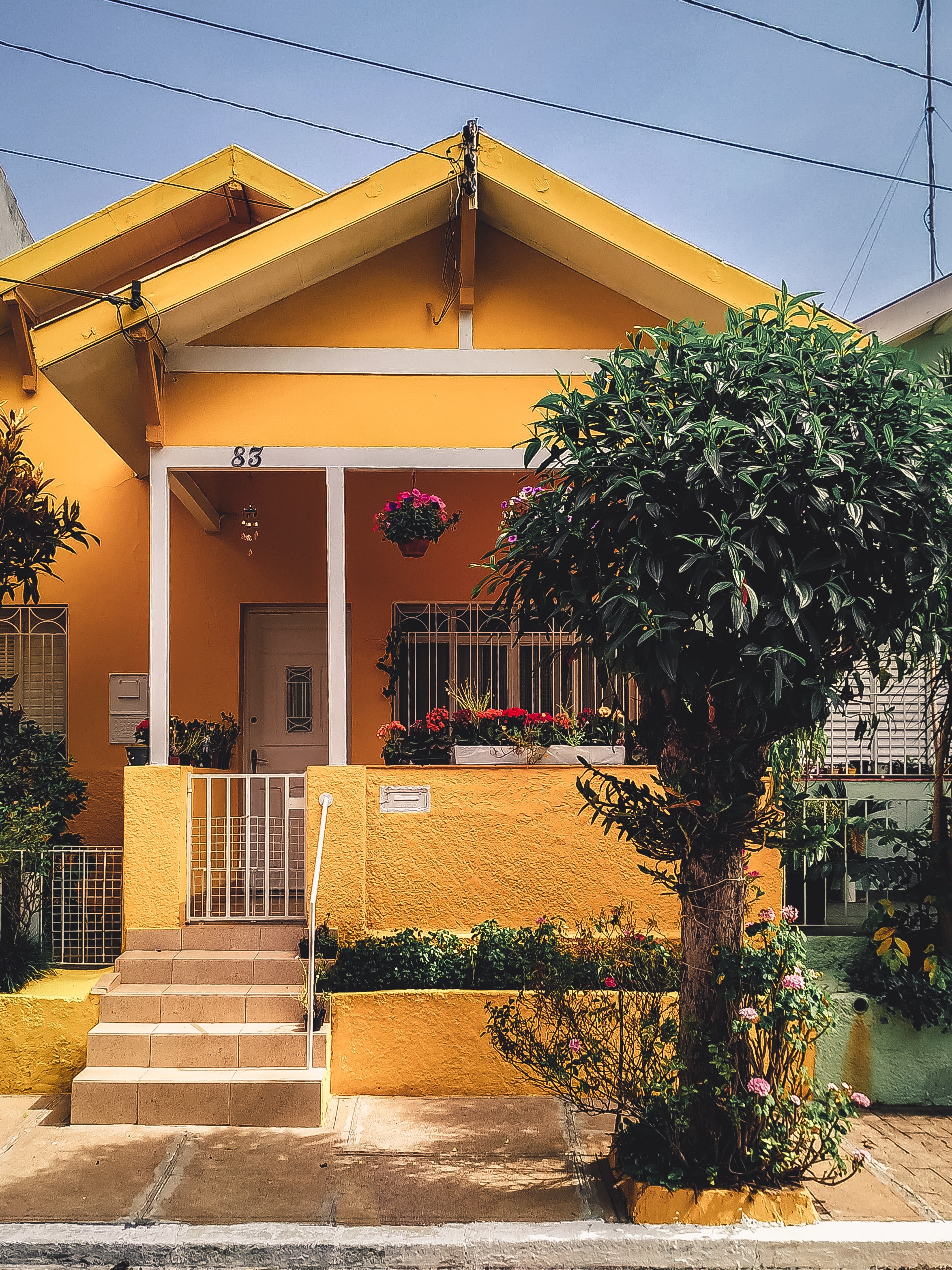 yellow-house-front-yard.jpg