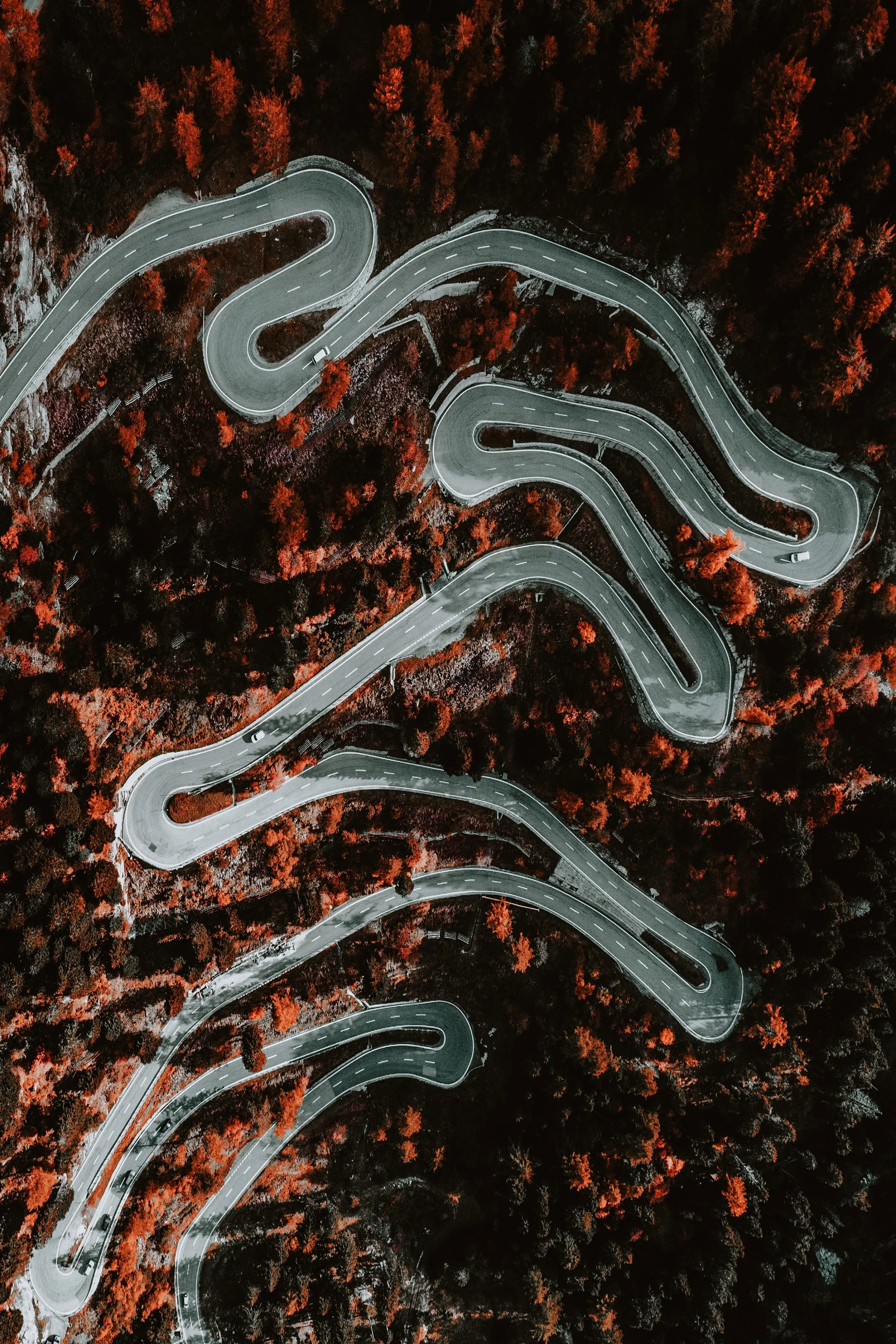 aerial-shot-bird-s-eye-view-from-above-1612462.jpg