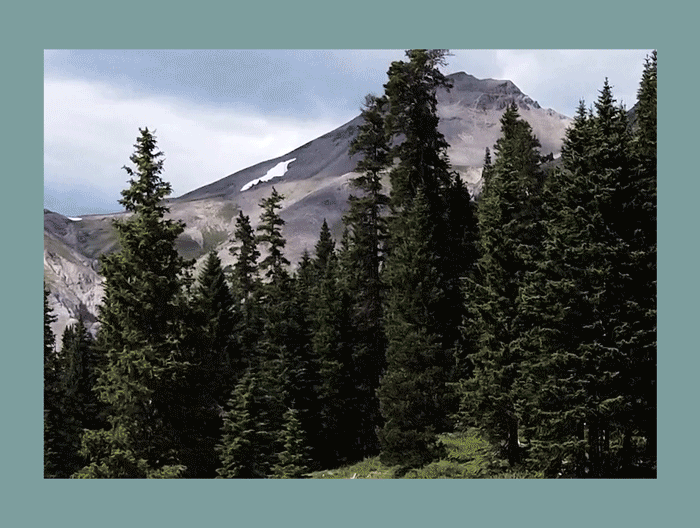 site-Key.gif