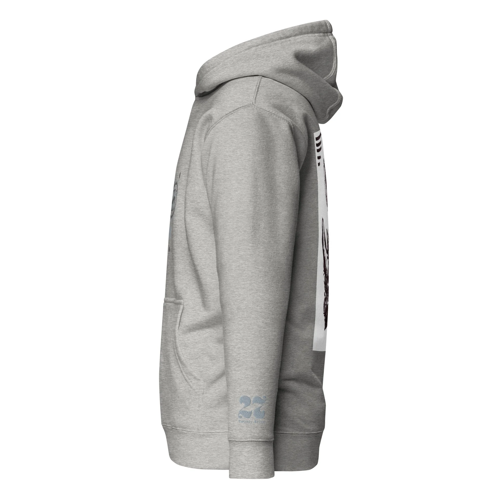unisex-premium-hoodie-carbon-grey-left-681ccc677e832.jpg