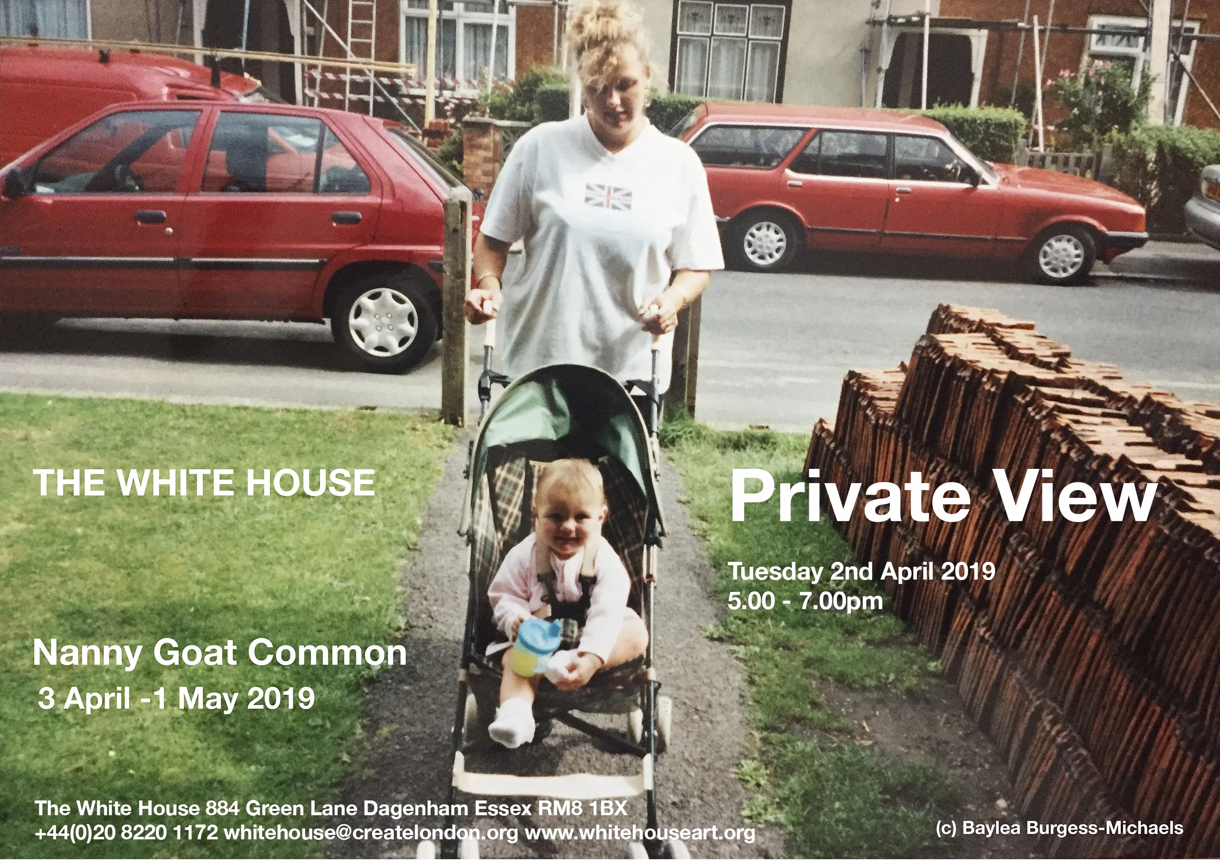Nanny Goat Common Private View.jpg