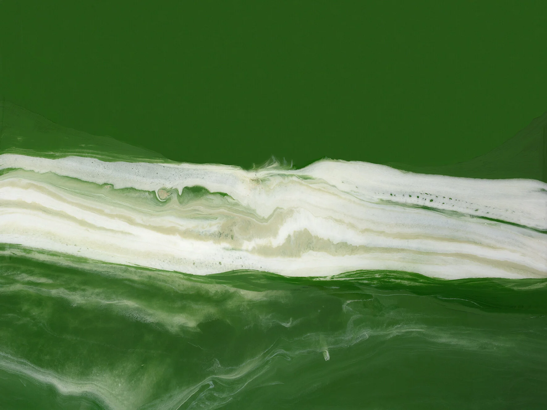 _78A9787 LOW RES.JPG