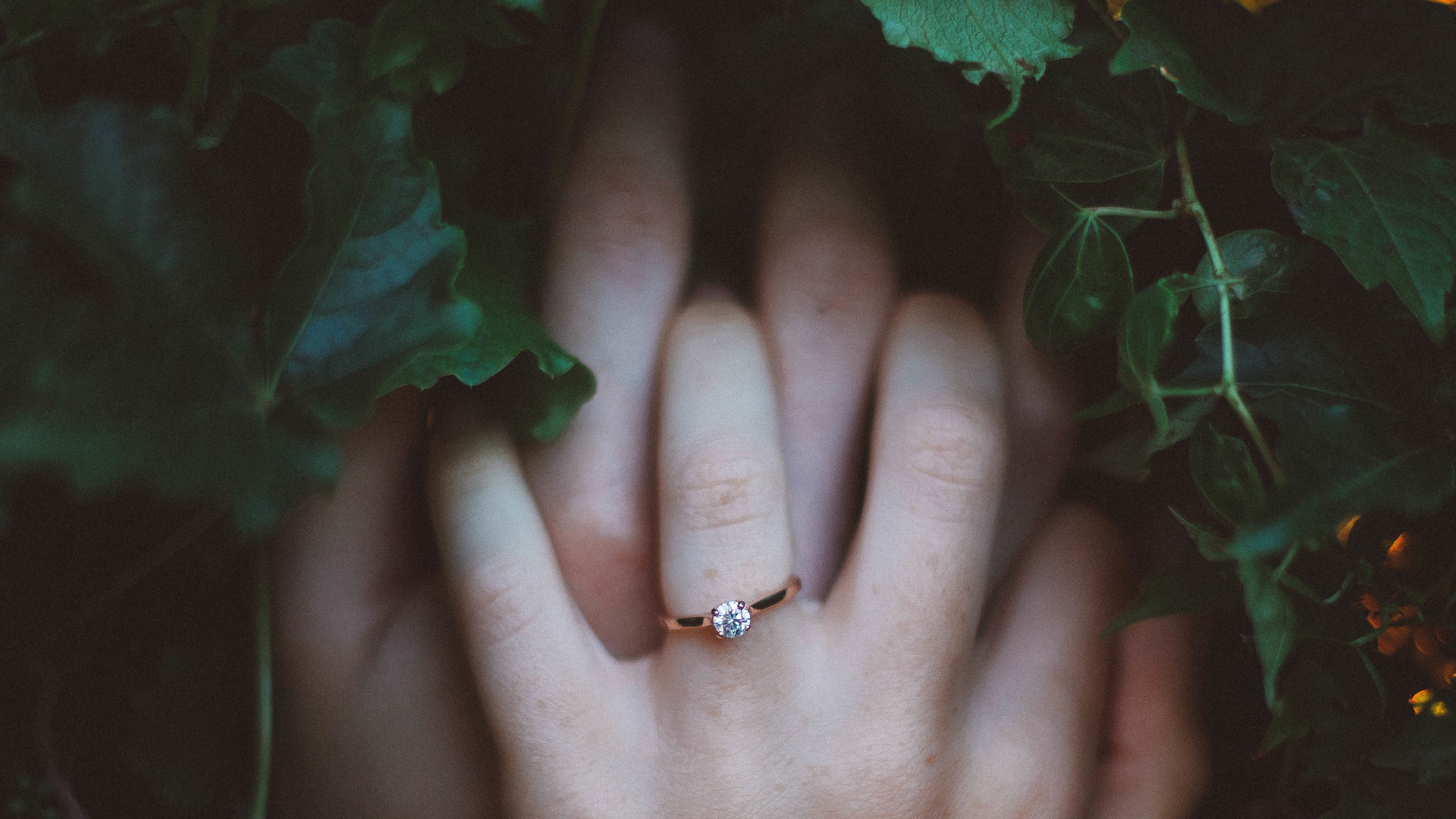 ring.jpg