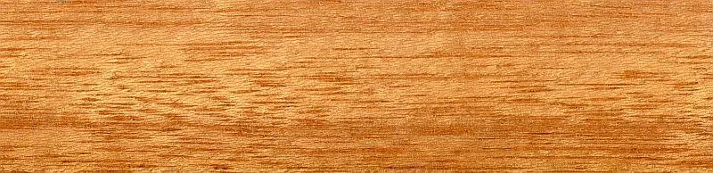 Stone Pine