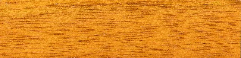 Old Pine