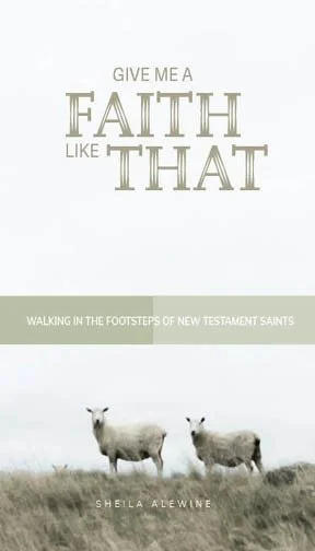 FRONT Cover_Faith_NT.jpeg
