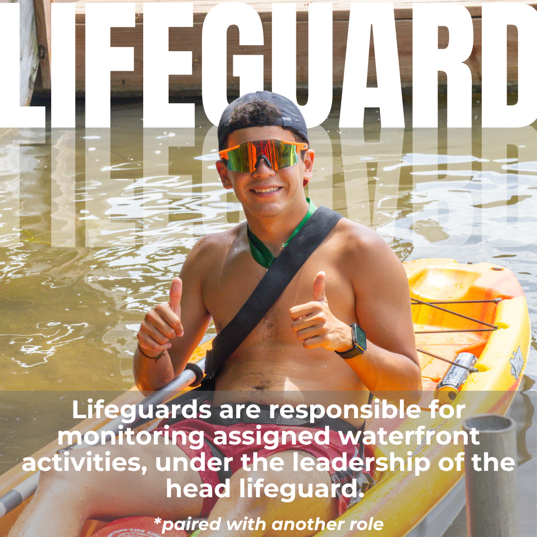 Lifeguard.png