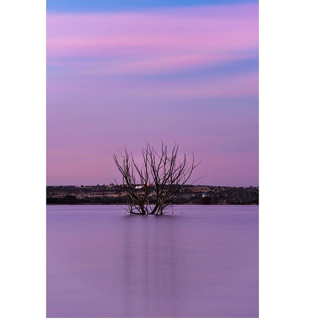 Otra toma en un lugar que me encanta -la presa Allende - hoy llegue un poco tarde as&iacute; que solo consegu&iacute; esta &uacute;nica foto pero salir con 1 foto lo suficientemente buena es una gran ganancia por qu&eacute; igual que para todo las bu