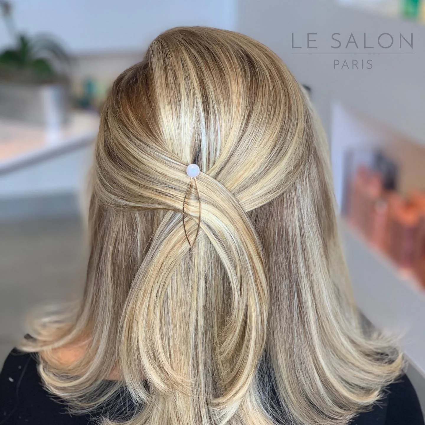 Updo & Braid Miami Le Salon Paris Florida.jpg