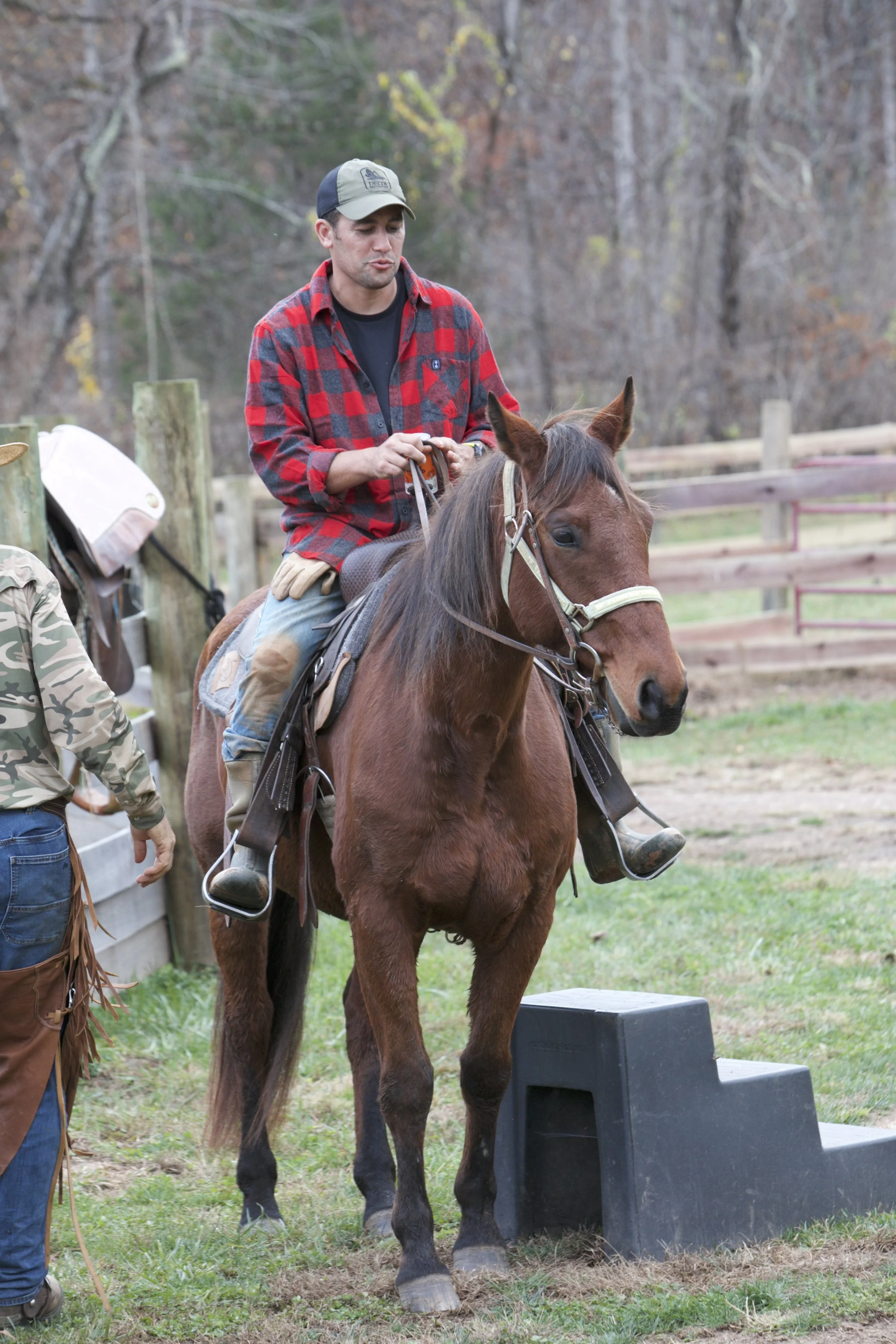 Hope's Heroes — Hope's Legacy Equine Rescue