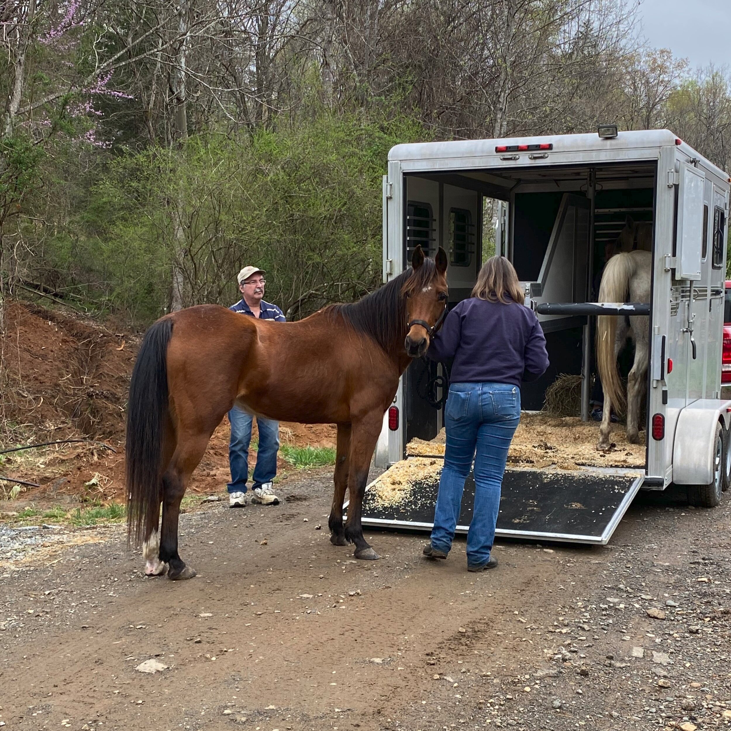 Animal Control Officer Training