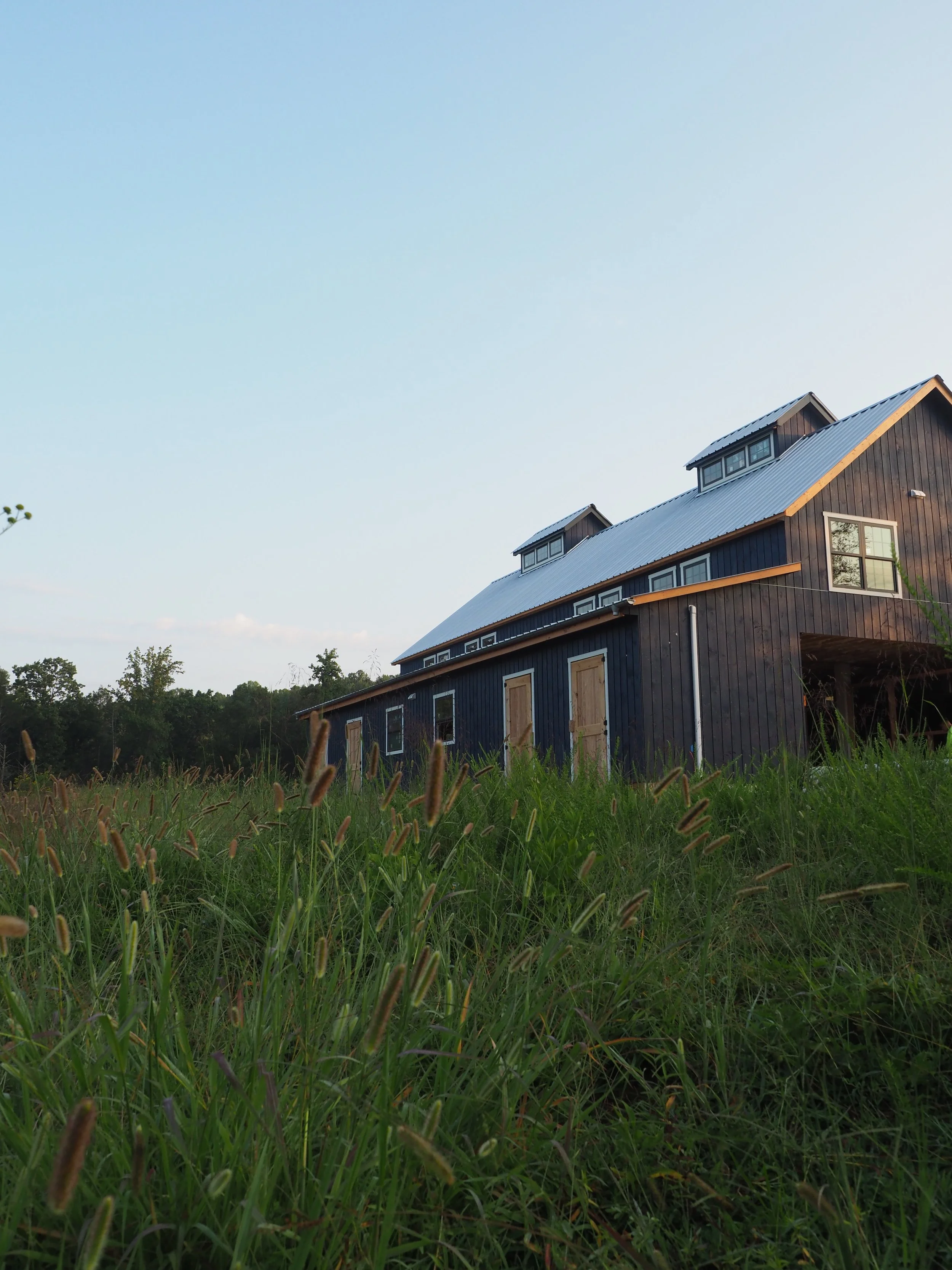 Henry J. Javor Intake Barn Ribbon Cutting Celebration at Hope's Legacy Equine Rescue