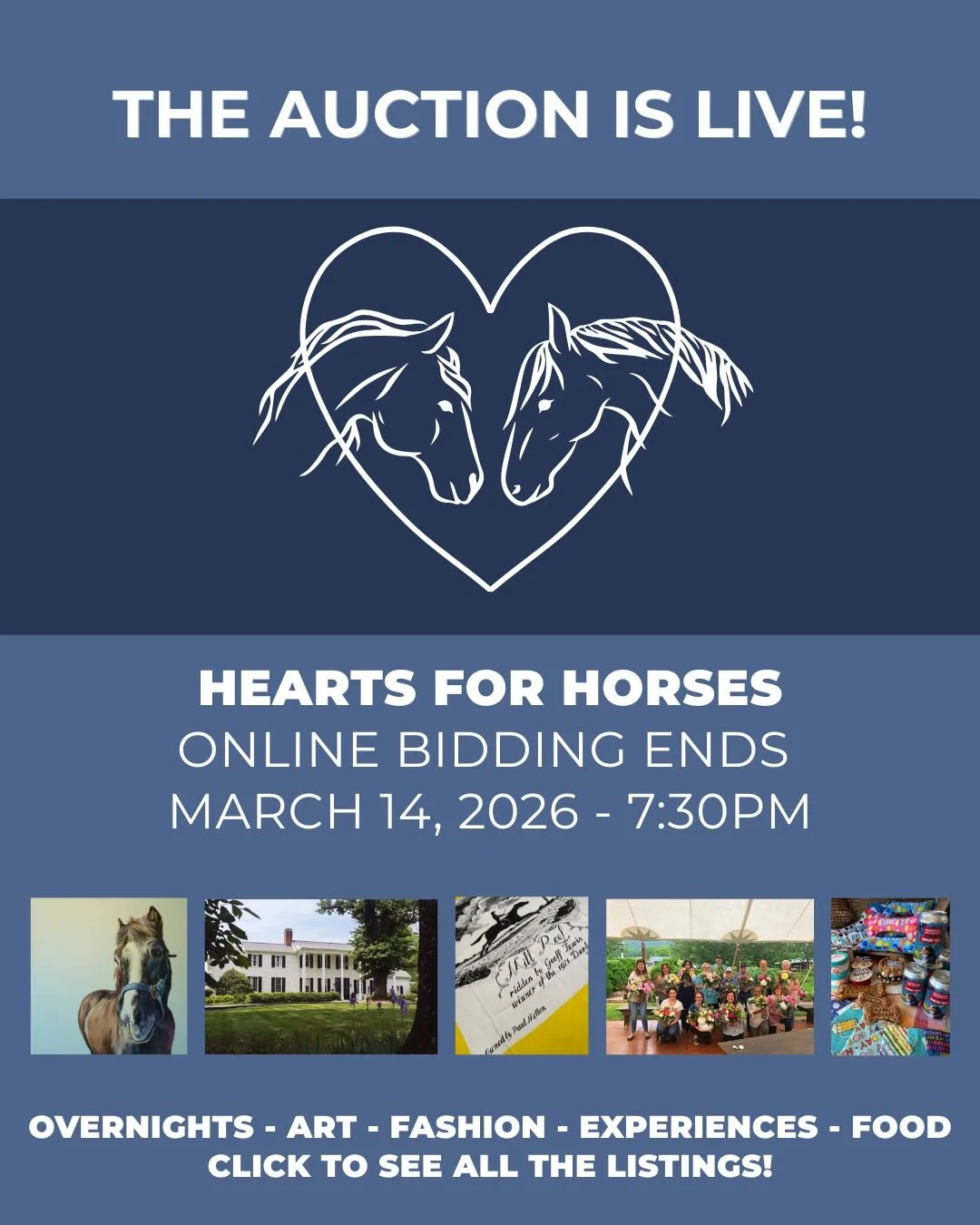 H4H Auction Live.jpg