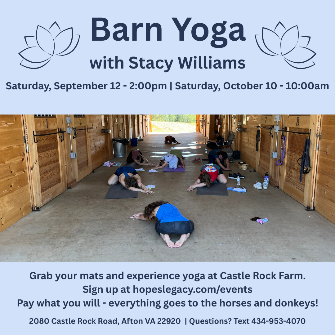 Barn Yoga