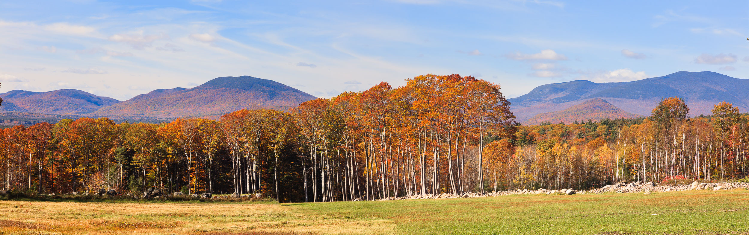 Whiteface Hollow View