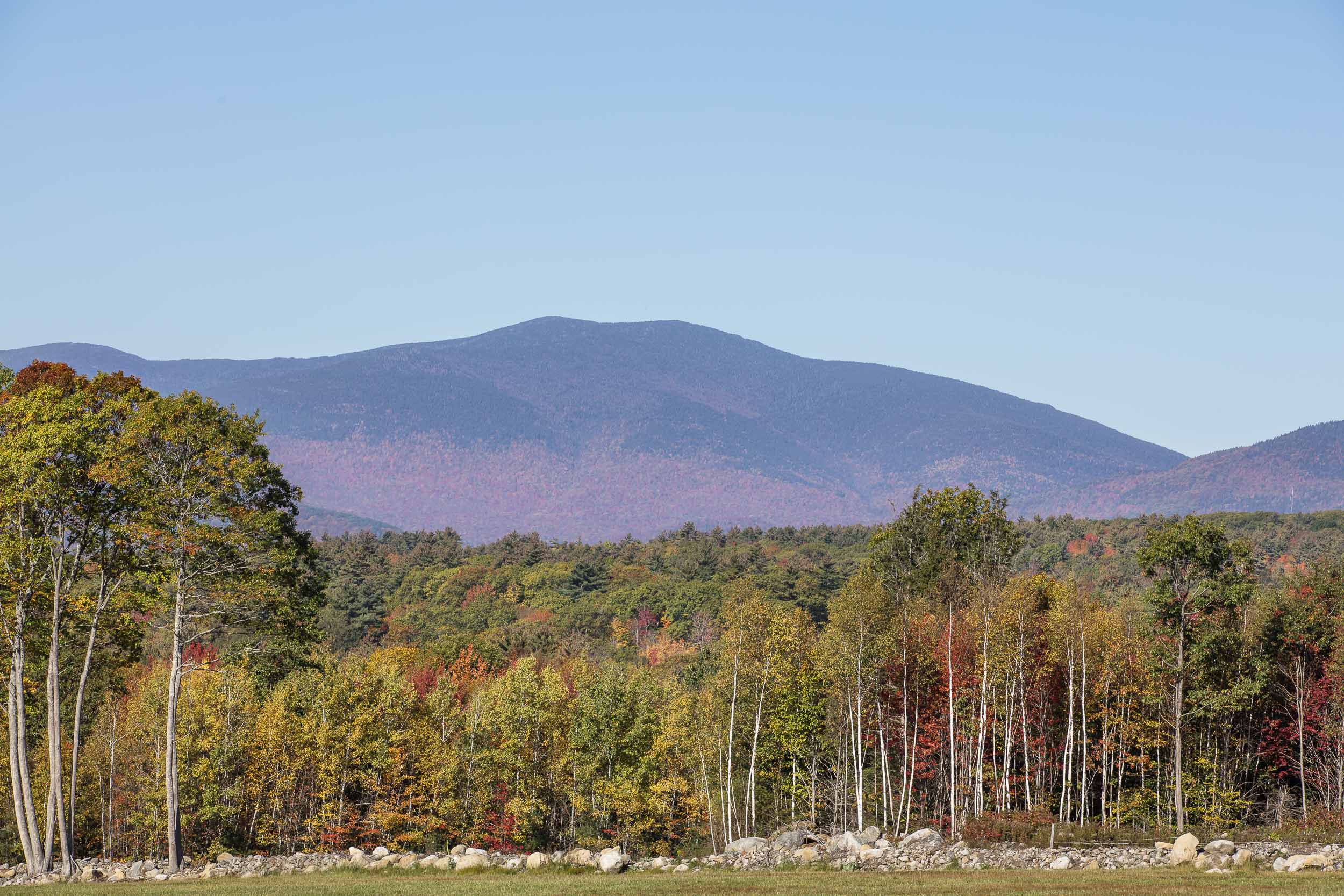 View from Whiteface Hollow