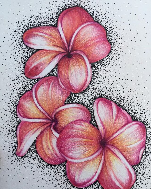 Frangipani commission for @siobhanparnell 🌸 if you would like your very own flower drawing, hit me up :-) and yes... the dots took a loooong time but it was really therapeutic 😆
.
.
.
.
#flowerart #flowersofinstagram #flowersketch #flowerdrawing #c