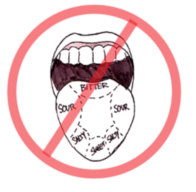 Mouth 2.png