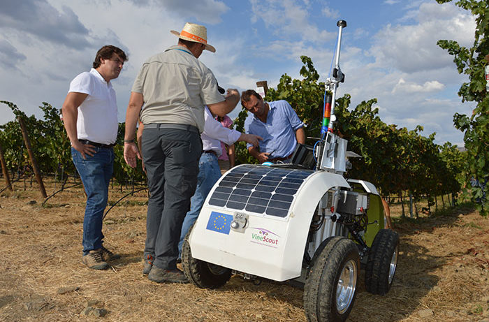 Robots in the Vines