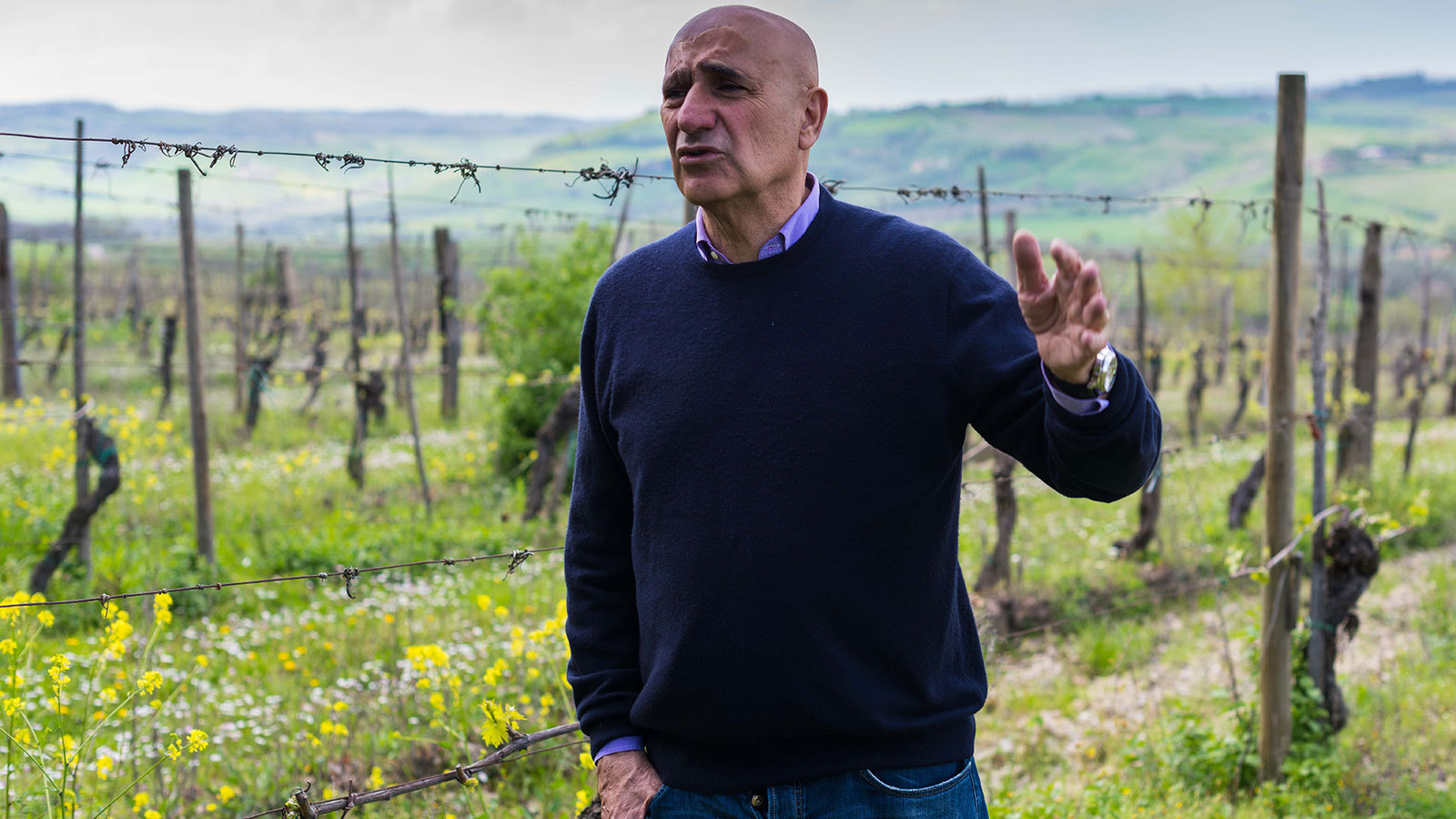 Poliziano’s decades-long formula for Tuscan success