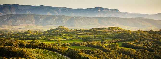 Talking Turkey with the Languedoc Lafite