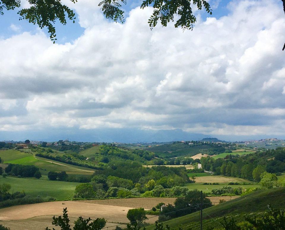 Abruzzo Is Making White Wine From Grapes You Don't Yet Know