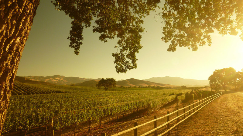 11 Big-Name California Rhône Picks